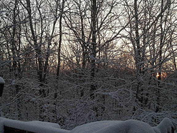Back Deck Sunrise View