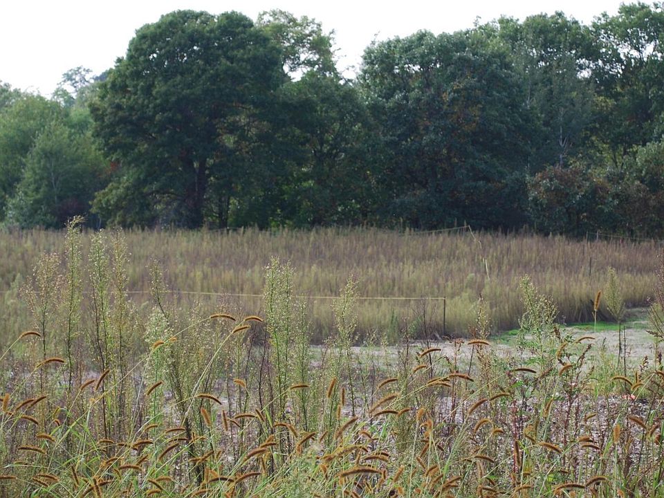 16764 Dakota St NW, Andover, MN 55304 MLS 6106564 Zillow