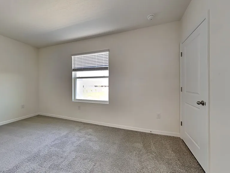 310 Mangrove Shade Cir — Photo 15