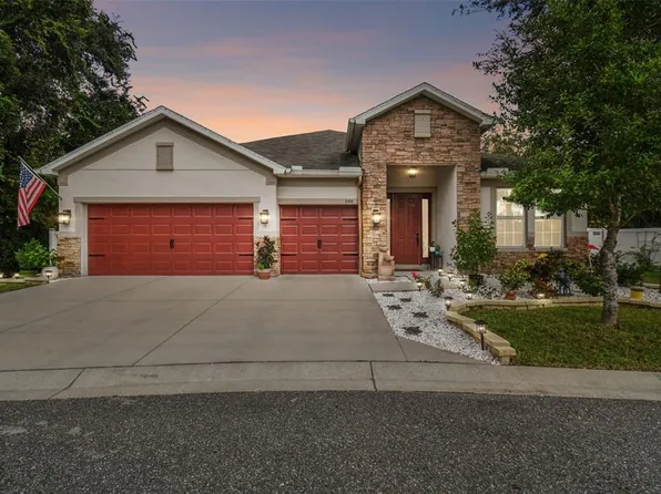 6456 DOE PATH COURT, WESLEY CHAPEL, FL 33545