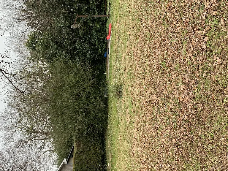 310 W Austin St — Photo 12