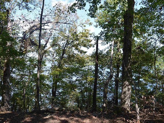 3rd image of LOT 25 Wateree Key Ct