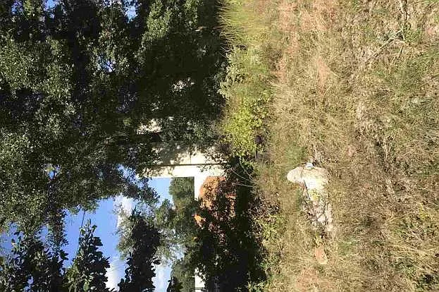 7350 Kipling St — Photo 94