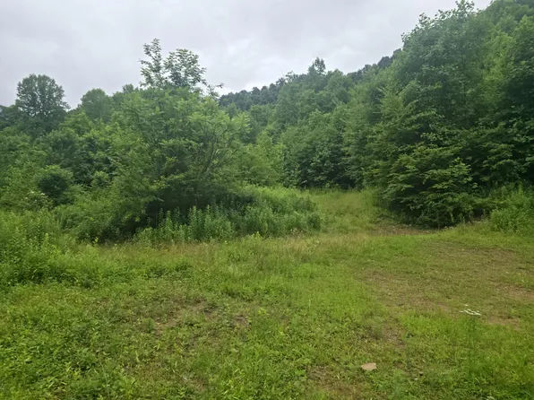 295 Wilmoth Dr, Swiss, WV 26690