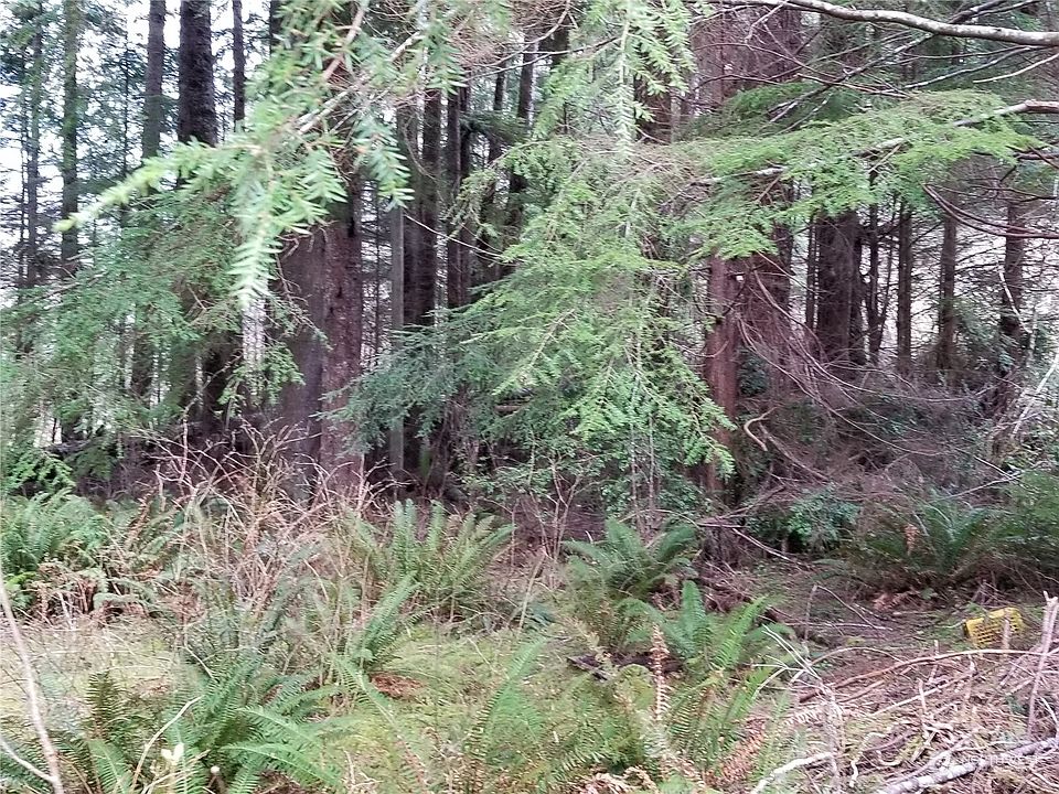 7 Xx Elk Ridge Rd, Copalis Beach, WA 98535 MLS NWM2060181 Zillow