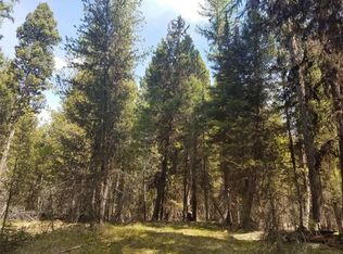 160 Sourdough Ln, Seeley Lake, MT 59868