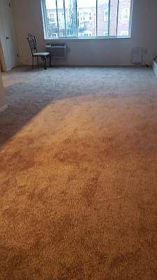 4th image of 756 E 83rd St #2