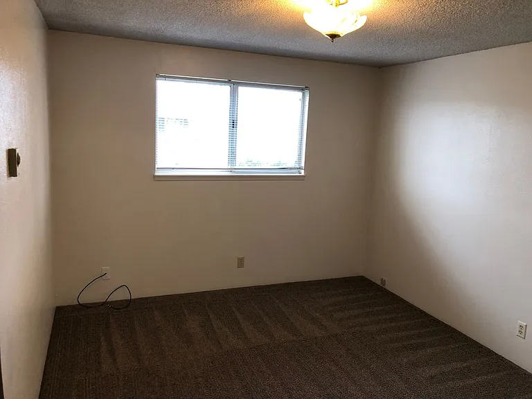 4823 Elderberry Loop — Photo 14