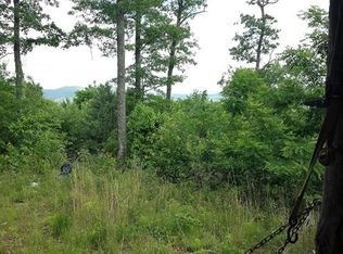 1825 High Peak Rd, Hendersonville, NC 28739