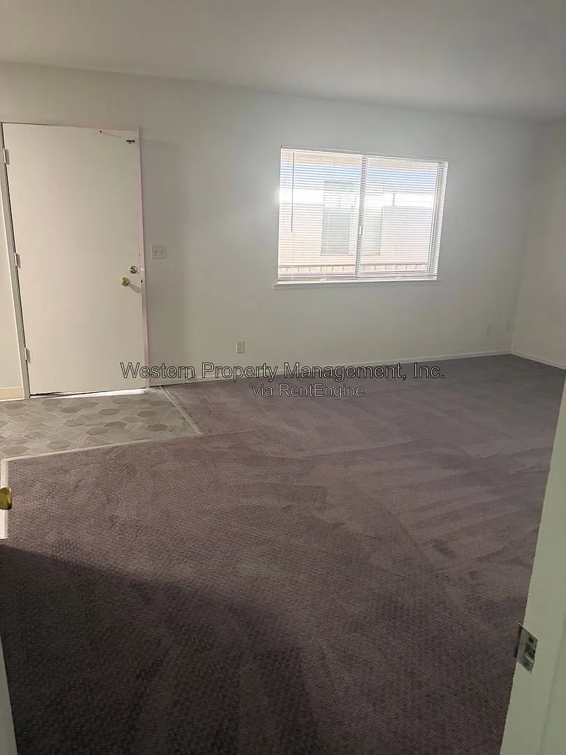 2 bed, 1.0 bath, 800 sqft, $2,695 — Photo 3