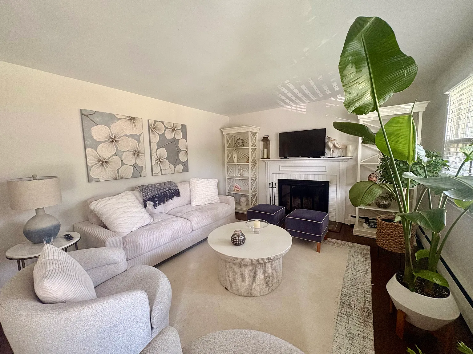 3 bed, 1564 sqft, $6,000 — Photo 4