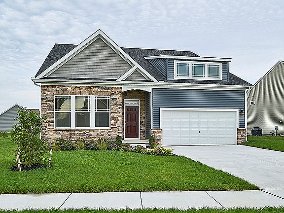 Elevation Image 1.