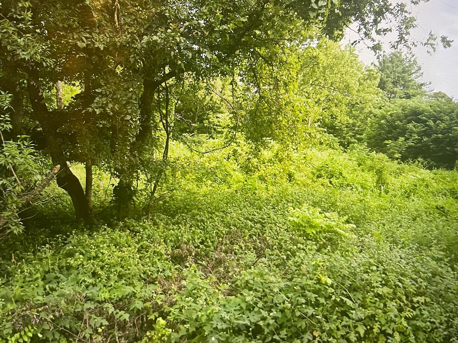 9355 Mascot Rd 9, Mascot, TN 37806 Zillow