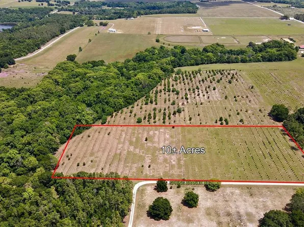 Spring Branch Rd, Dade City, FL 33523