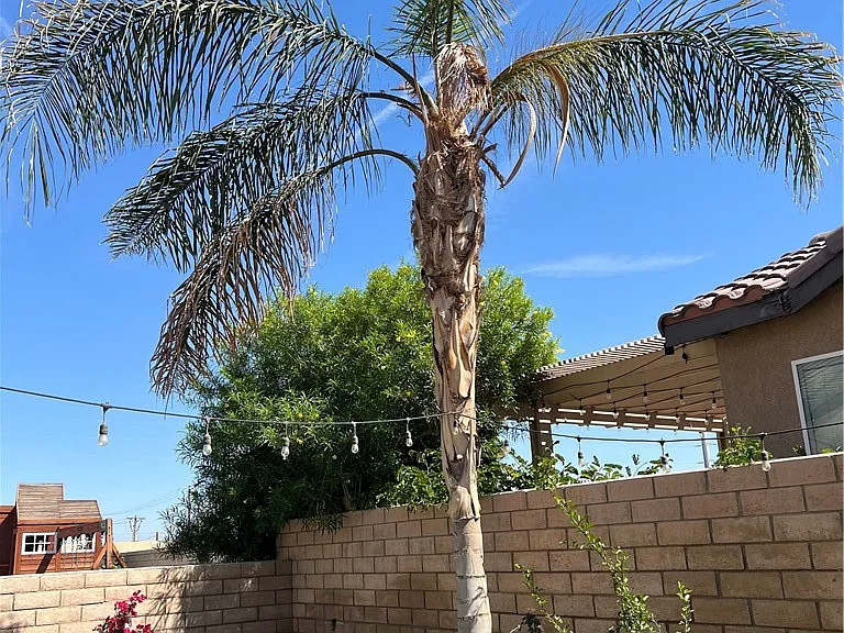 82779 Matthau Dr — Photo 33
