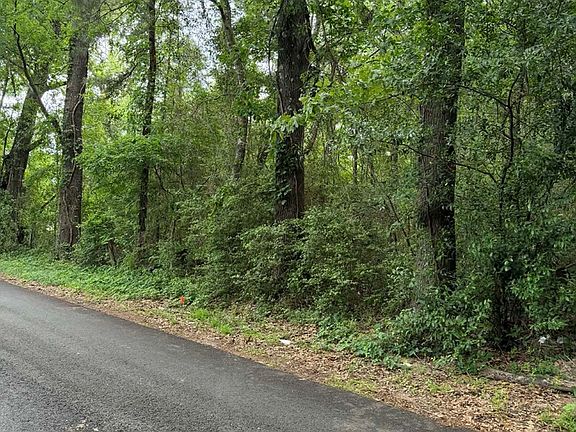 5th image of LOT 1 Old Gobblers Knob Rd