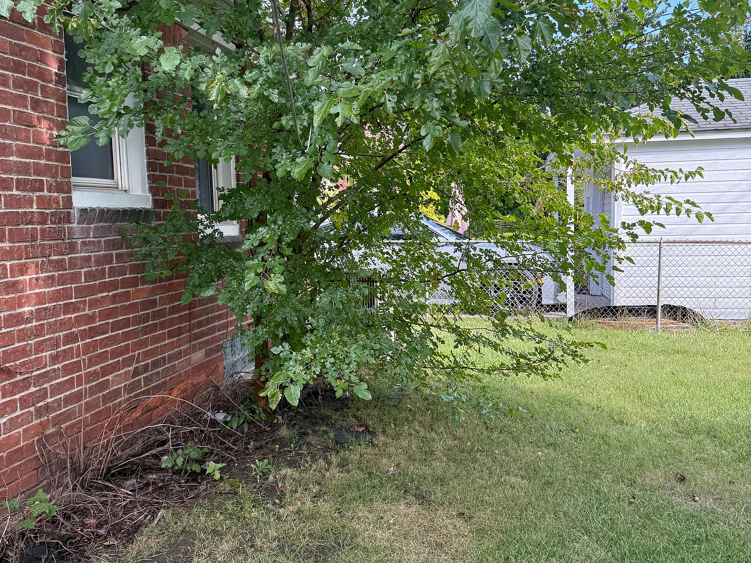 8146 Grayfield St — Photo 4