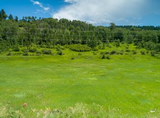 13 Buffalo Dr, Alpine, WY 83128