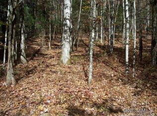 Tbd Tsuyvtlvi Ct, Brevard, NC 28712