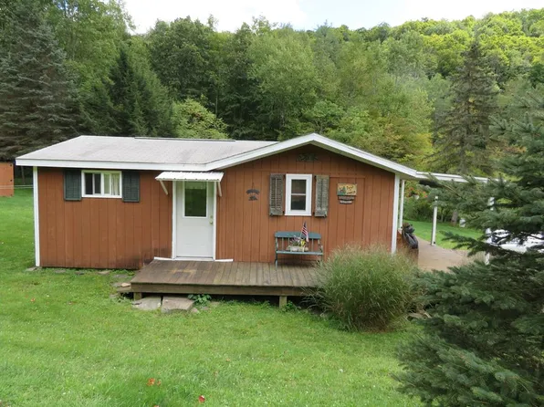 464 Shanty Hollow Rd, Roaring Branch, PA 17765