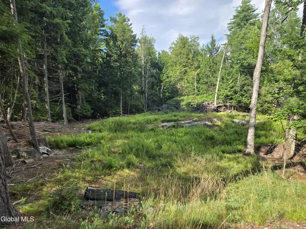 L3 Emily Lane Lot 3, Chestertown, NY 12817