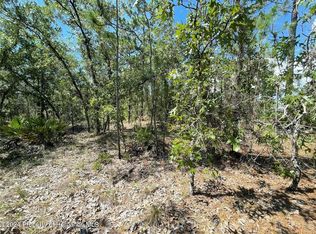 16179 Meadow Plover Rd, Brooksville, FL 34614