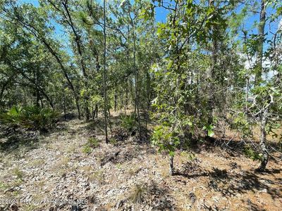 16179 Meadow Plover Rd, Brooksville, FL, 34614