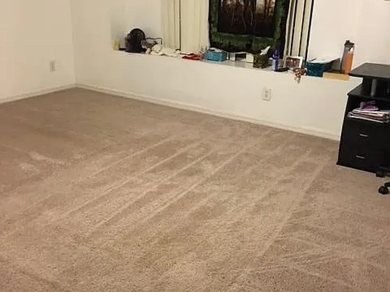 3913 Shawn Cir — Photo 18