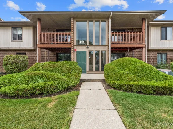 803 Garden Cir APT 1a, Streamwood, IL 60107
