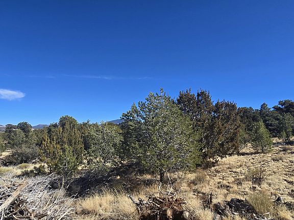 3rd image of 7109 N Noel Way