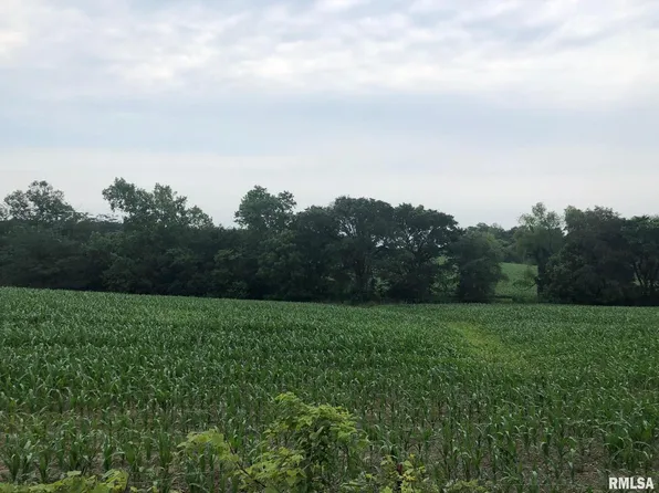 0 Tyler Bridge Rd, Creal Springs, IL 62922
