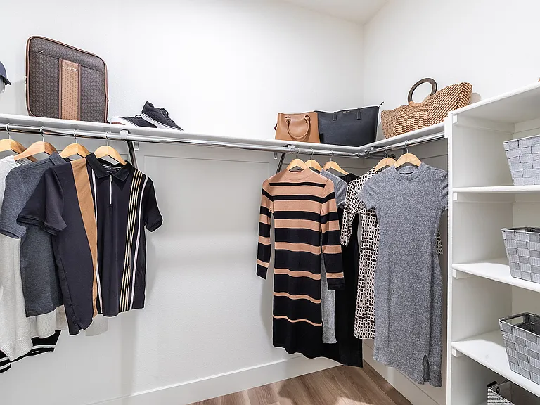 Expansive closets with shelving