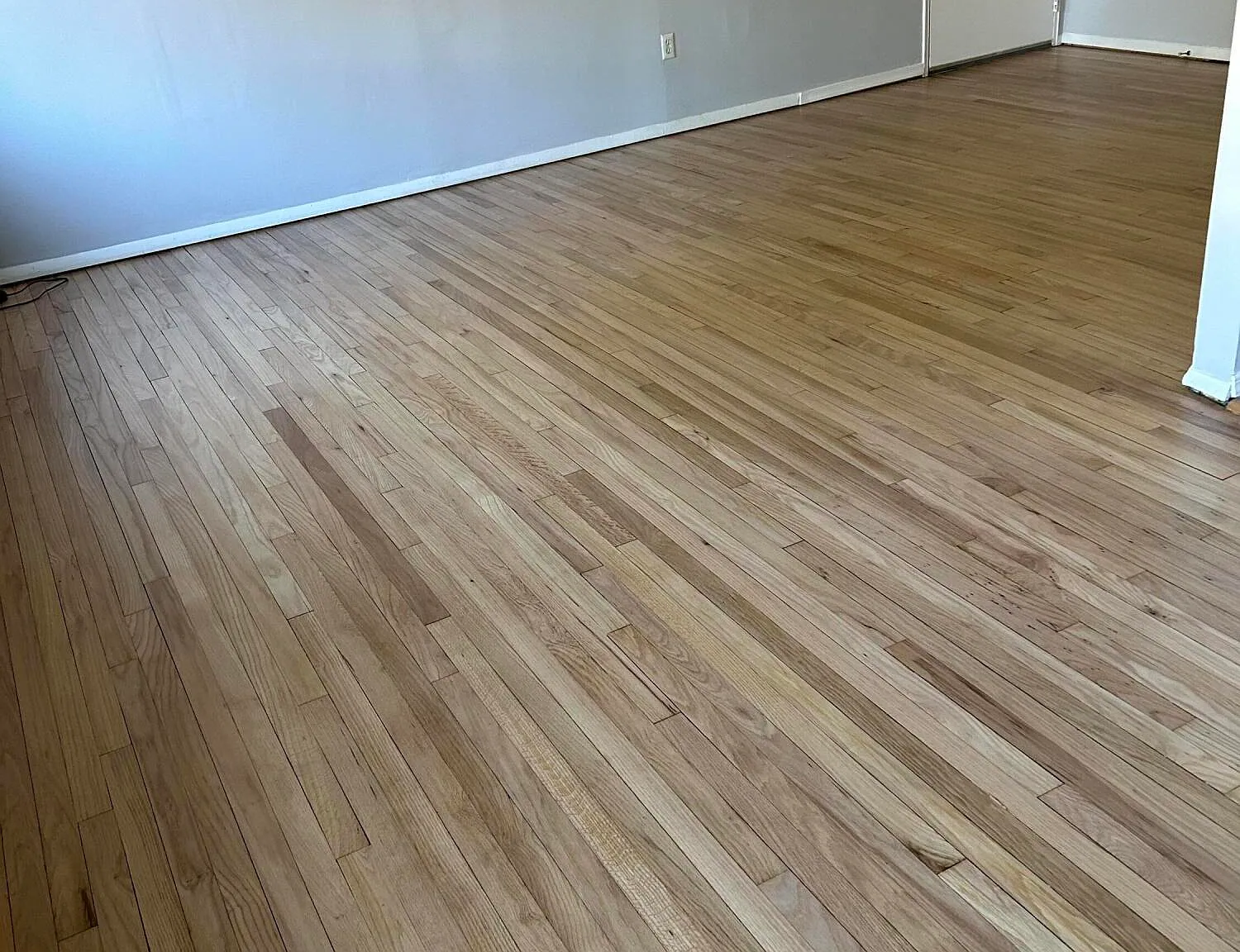 1 bed, 720 sqft, $1,900 — Photo 4