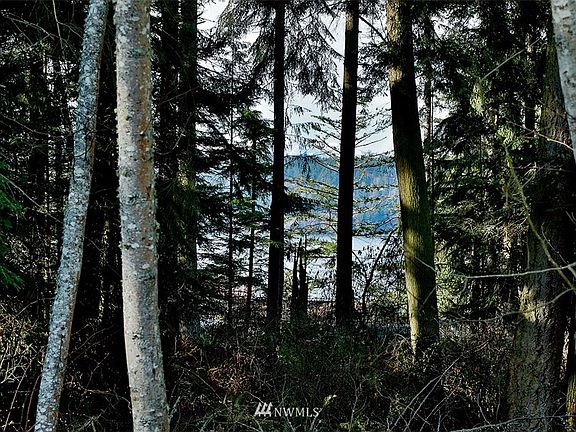 Peek through the woods to catch a glimpse of the water