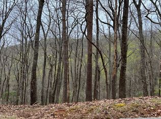 H 85 Mountain Oak Rd, Ellijay, GA 30536
