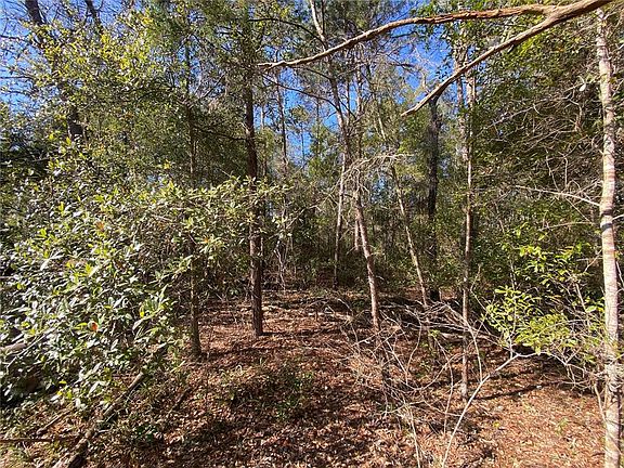 2nd image of 2085 SW Algiers Ct Lot 40