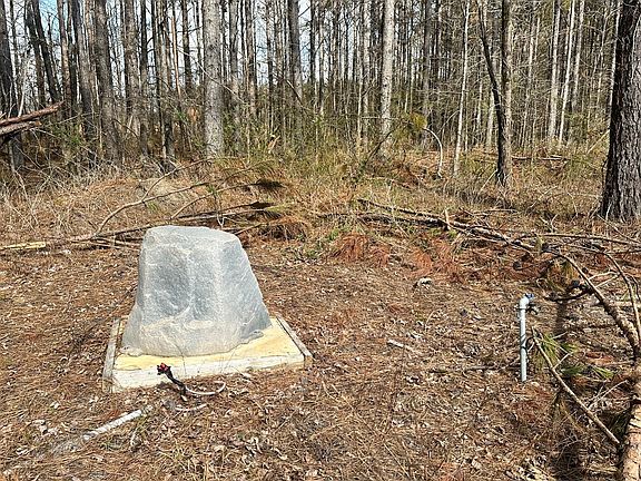 5th image of Coleman Rd