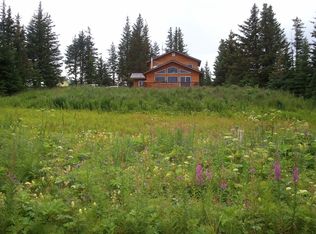 41175 Bidarki Dr, Homer, AK 99603
