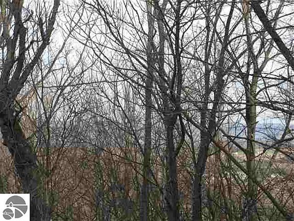 2nd image of S Cottonwood Dr