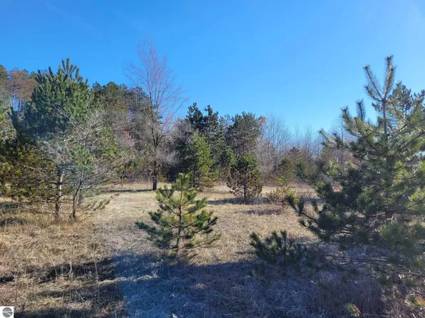 0 S M 37, Harrietta, MI 49638