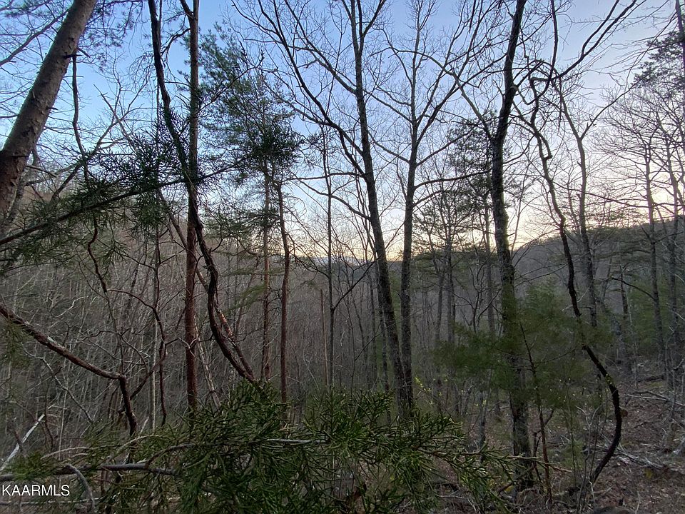 2nd image of LOT 46 Beechwood Ln