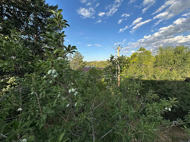 3366 Loyola Ct — Photo 19