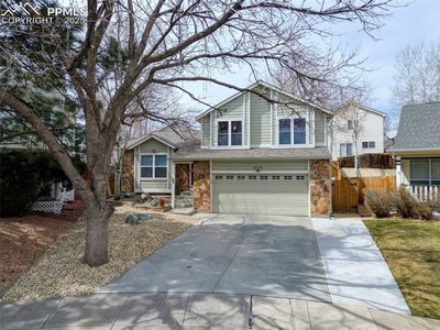 6015 Emma Ln, Colorado Springs, CO, 80922