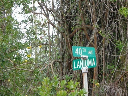 1st image of 40th St Lot 44