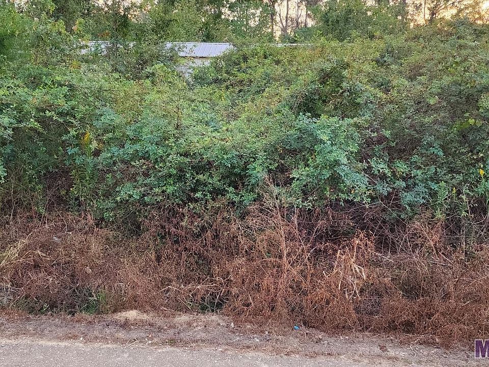 2nd image of 30999 Whiteleaf St