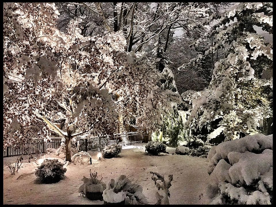 2nd image of 47 Walthery Ave