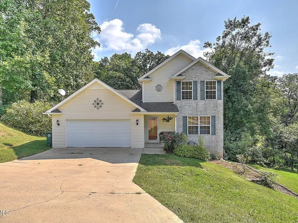 317 Henrys Ln, Bristol, VA 24202