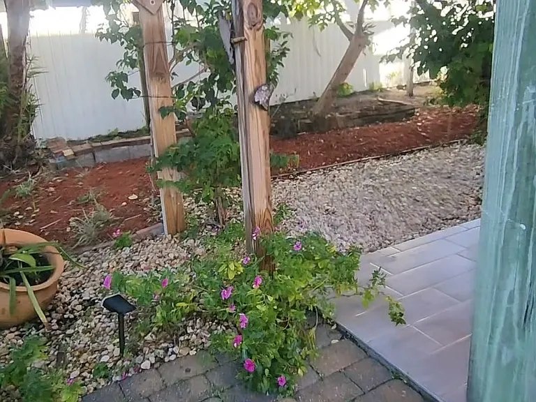 Phlox Dr — Photo 5