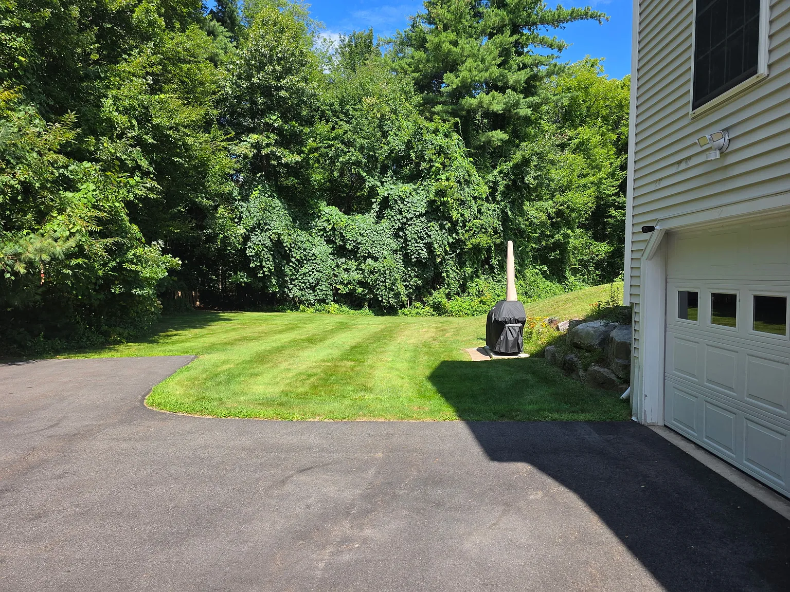 3 bed, 1800 sqft, $2,900 — Photo 4