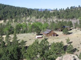 14052 Jubilee Trl, Pine, CO 80470
